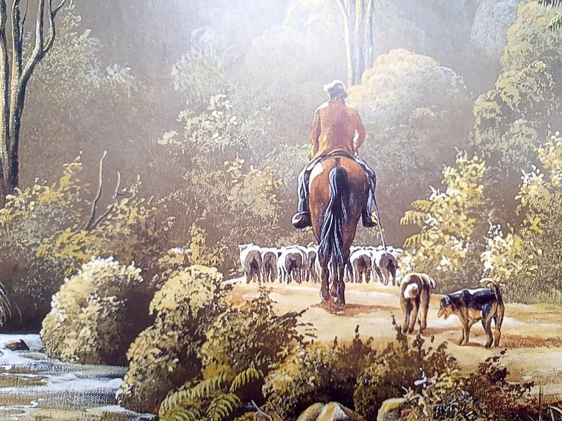 JEANETTE BLACKBURN: KAURI COUNTRY