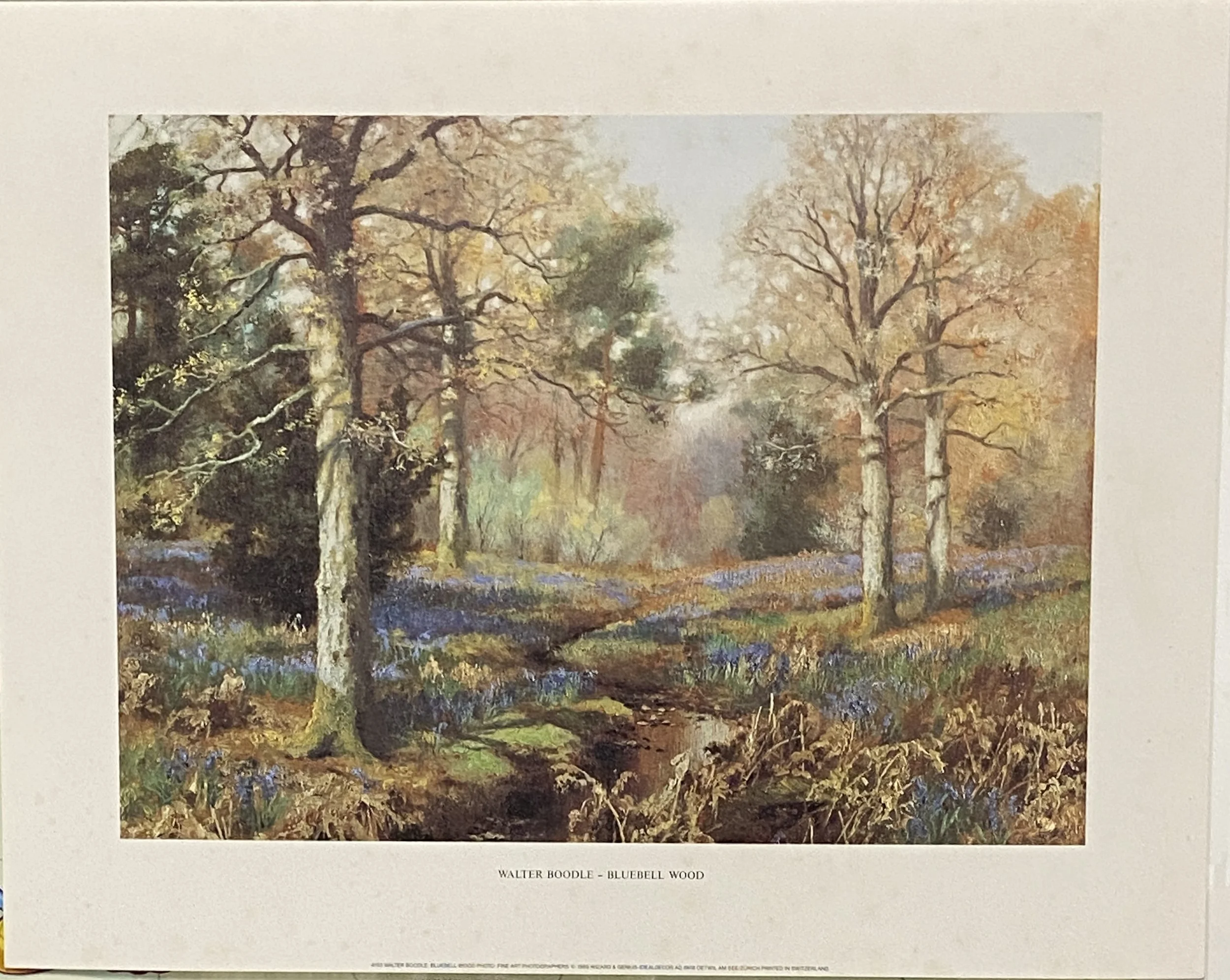 WALTER BOODLE: BLUEBELL WOOD