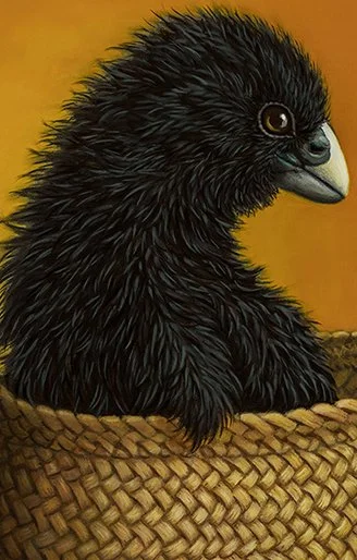 RW-KETE-TAKAHE-Thumb.jpg
