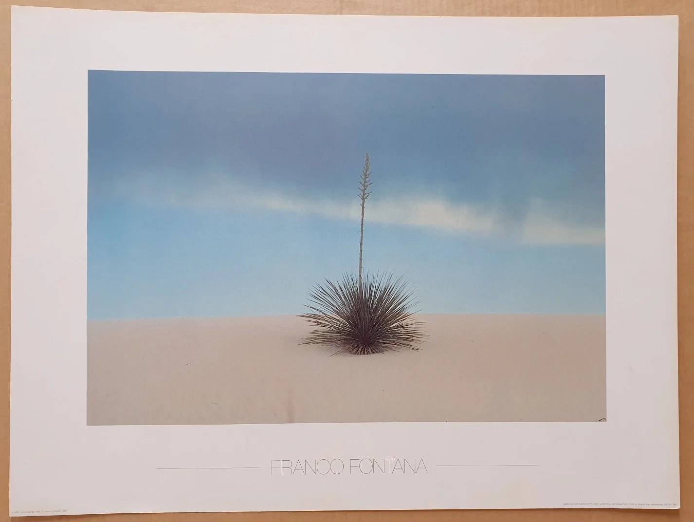 FRANCO-FONTANA-WHITESANDS-1.jpg