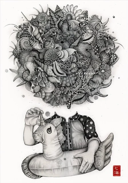 NANAMI COWDROY: SHELLS