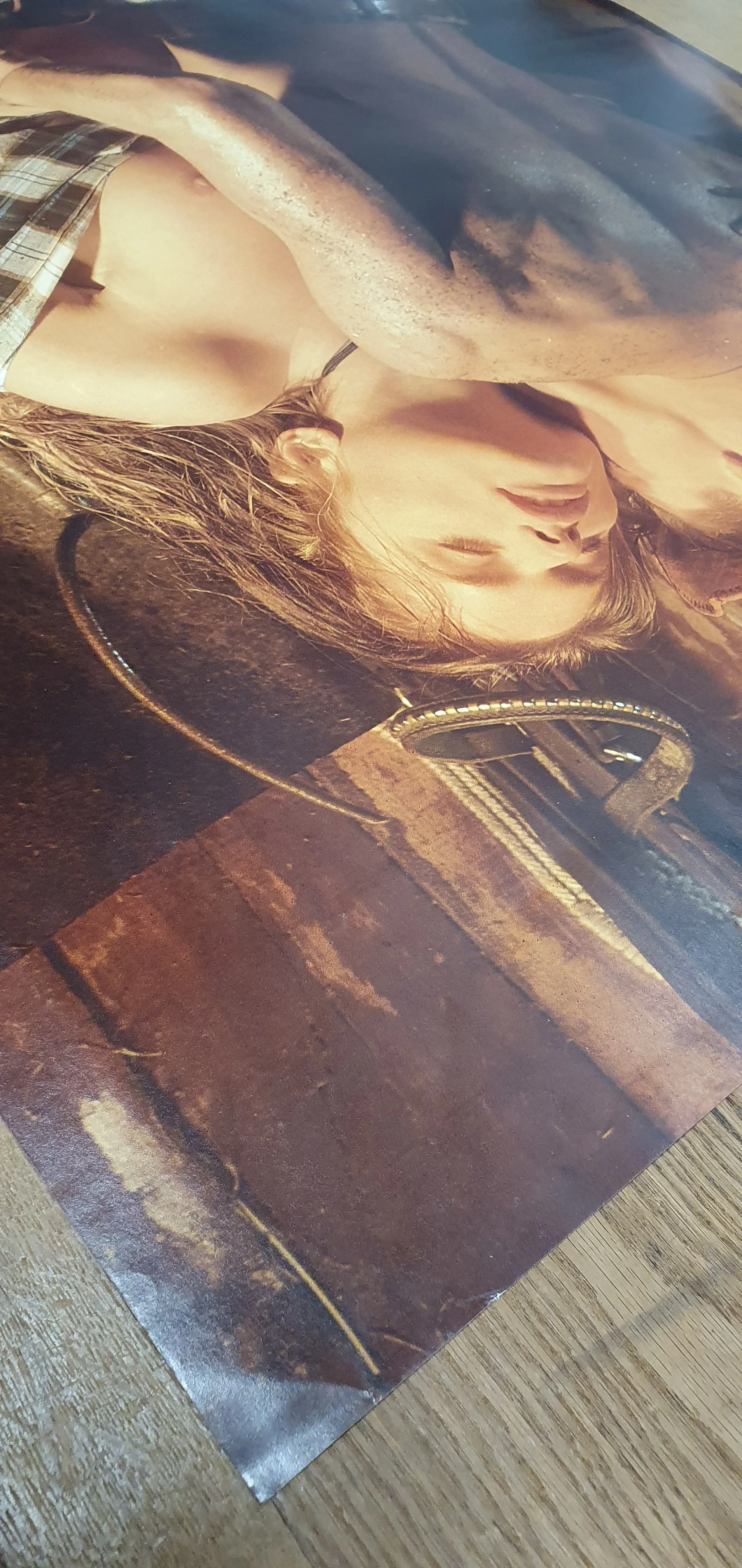 BARN SHAG Louissimo 620x930 2.jpg