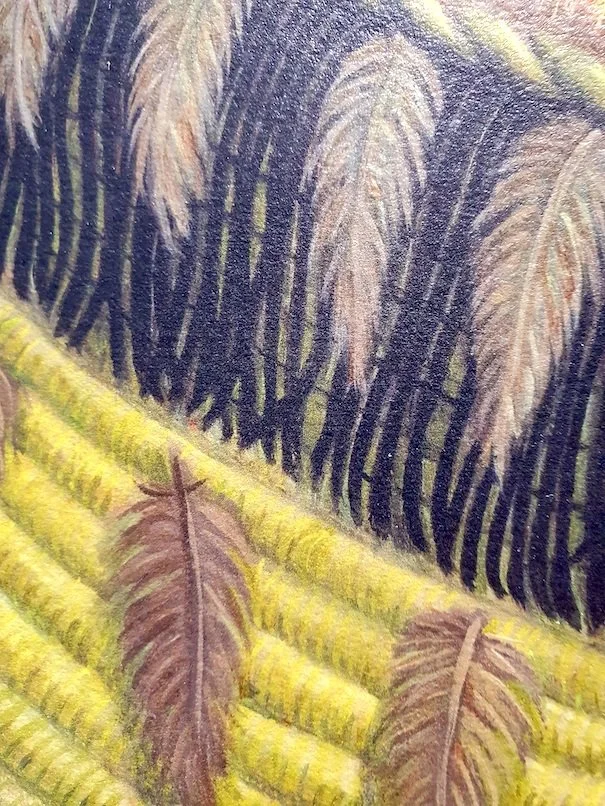 RW-TE-RANGATIRA-RURU-C3.jpg