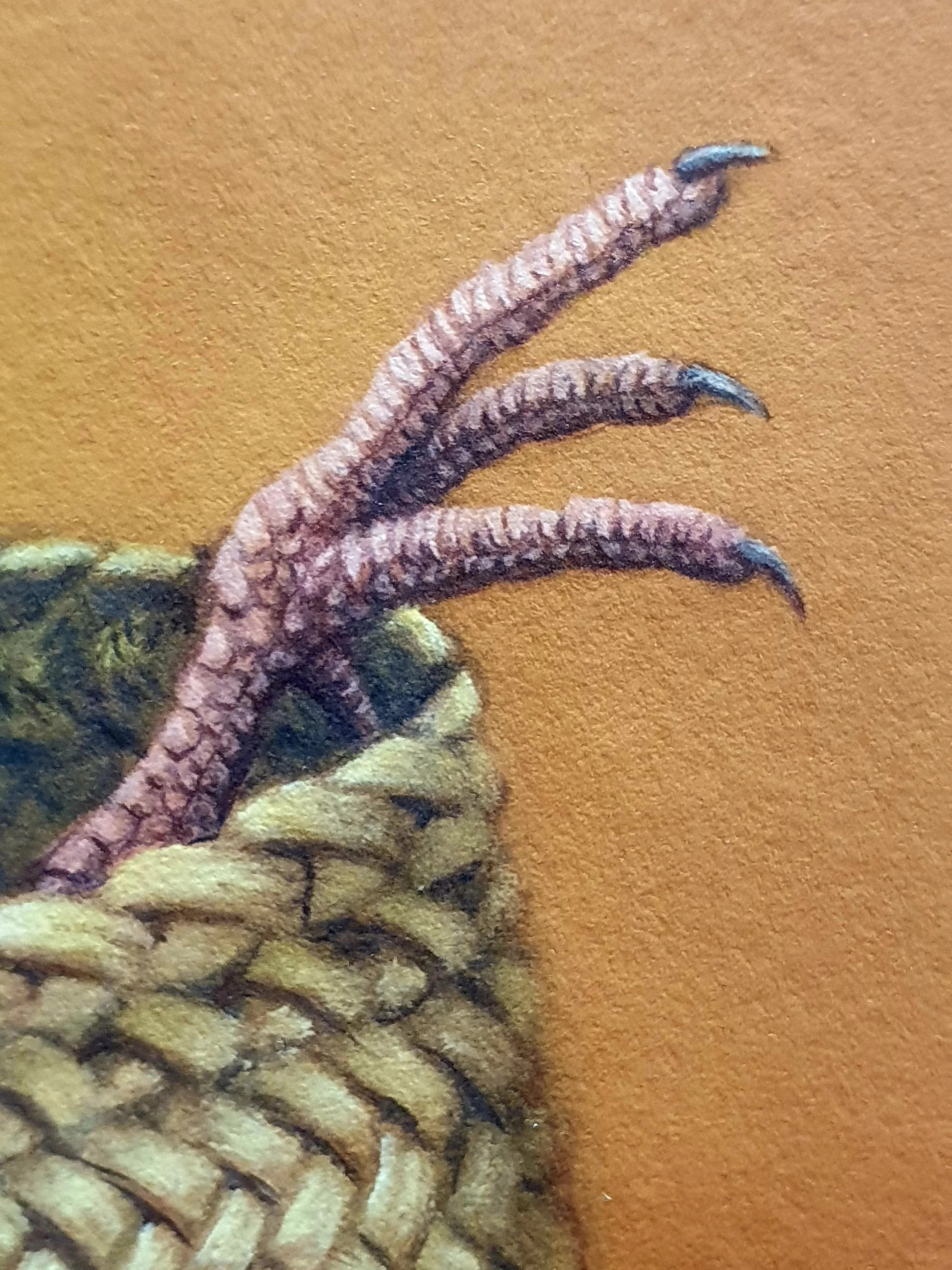 RW-KETE-TAKAHE-C2.jpg