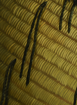 RW-KA-AWHIHIA-E-TE-KOROWAI-C3.png