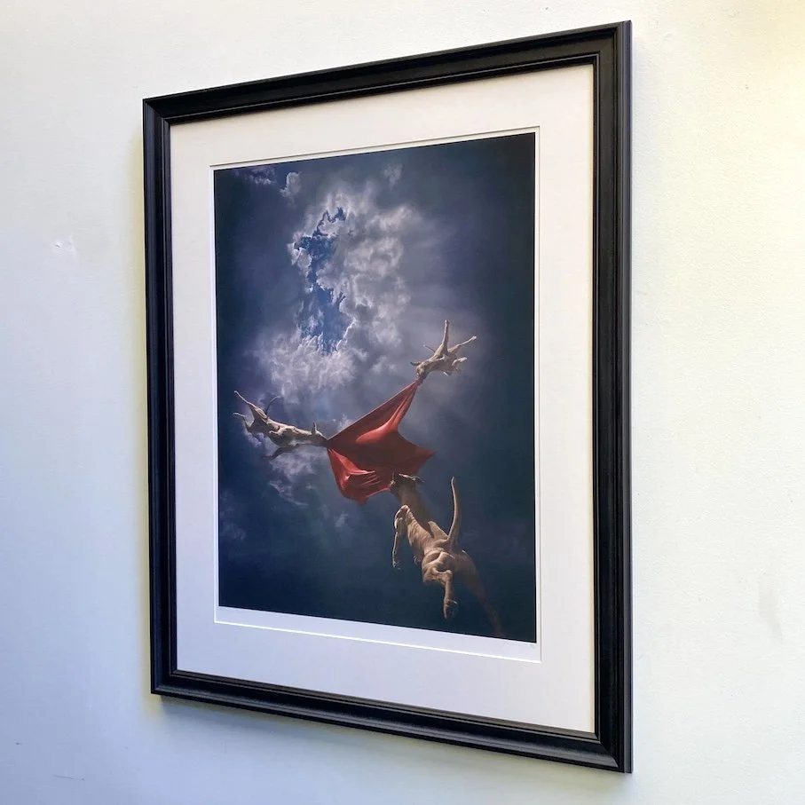 JOEL REA: RETURN TO GENESIS (F)
