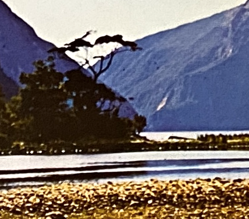 NZ_Mitre Peak 710x495-5.png