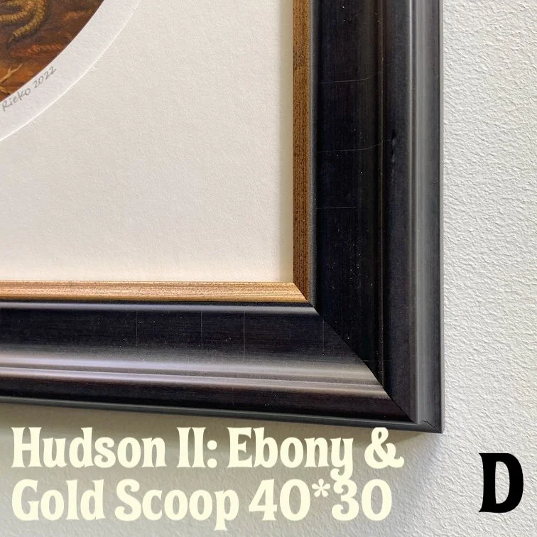 D-LJ316220-HUDSONII-MBLKGOLD-M37×30.jpg