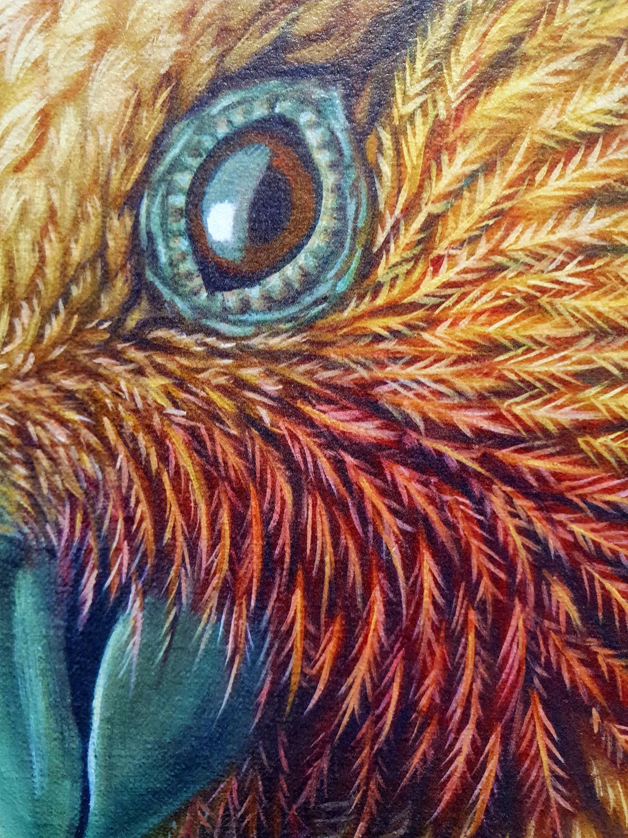 RW-KOWHAI-NGUTU-KAKA-C1.jpg