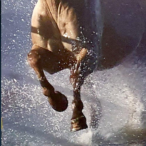 Lol Ink_COWBOY 620x930 7.png