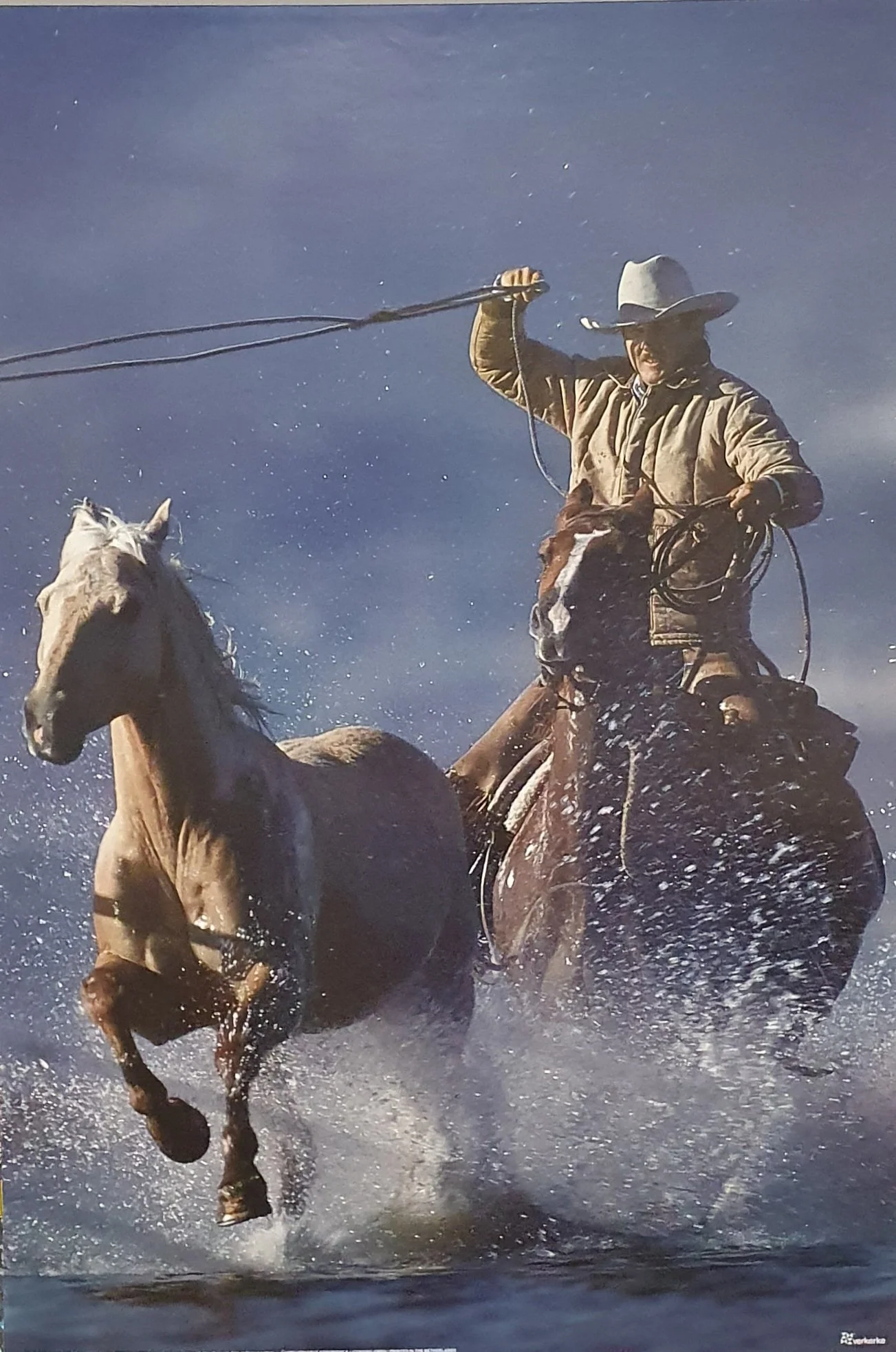 COWBOY Lol Ink 620x930 1.jpg