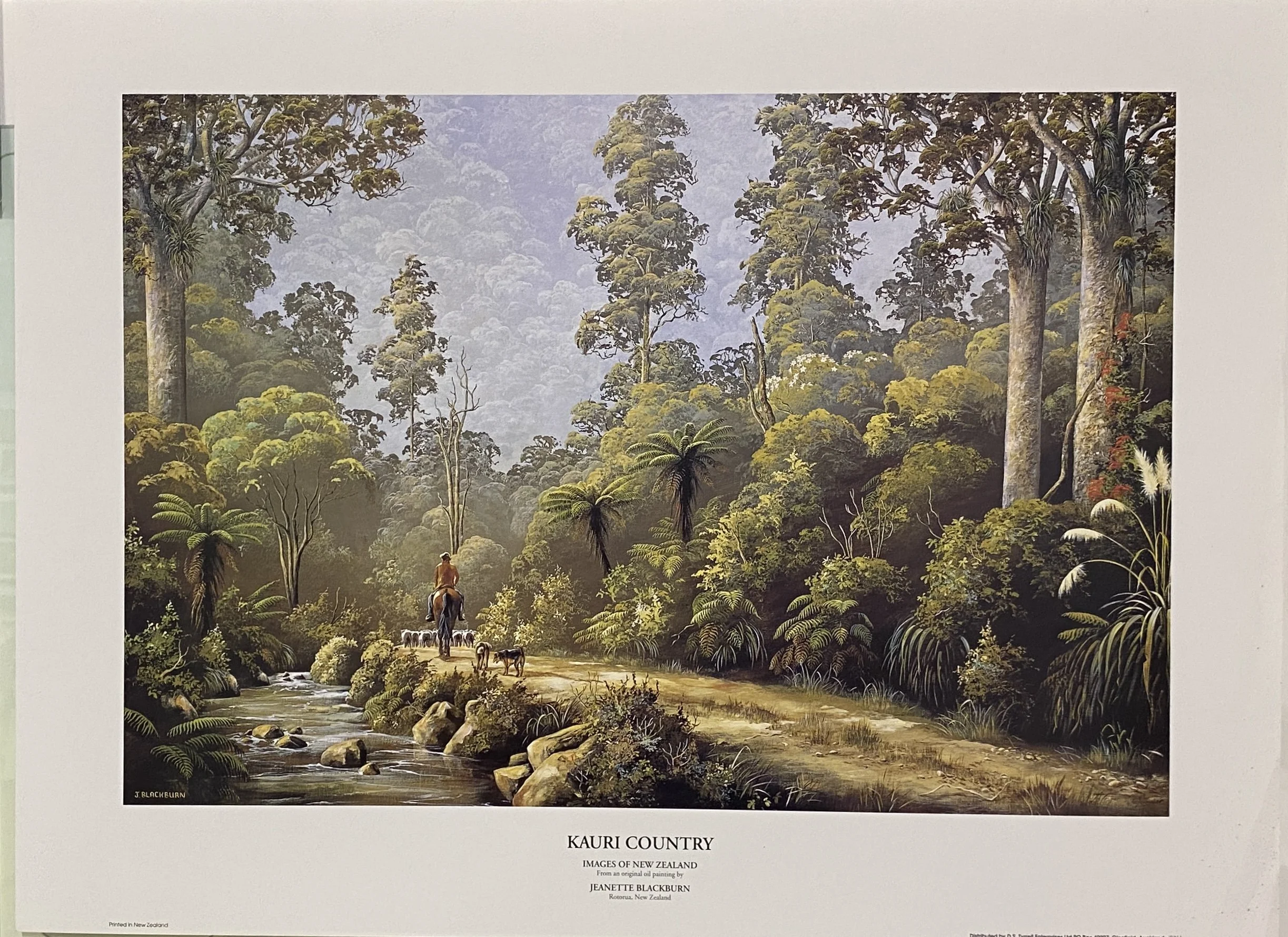 Jeanette Blackburn-Kauri Country-1.jpg