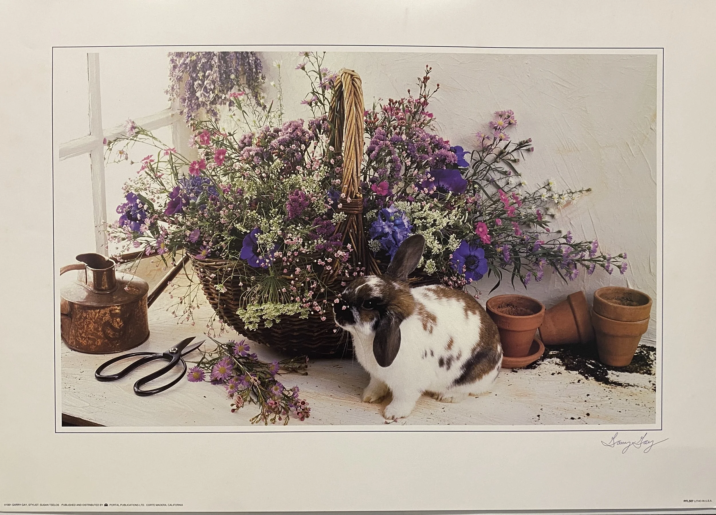 Garry Gay 710x510-1.jpg