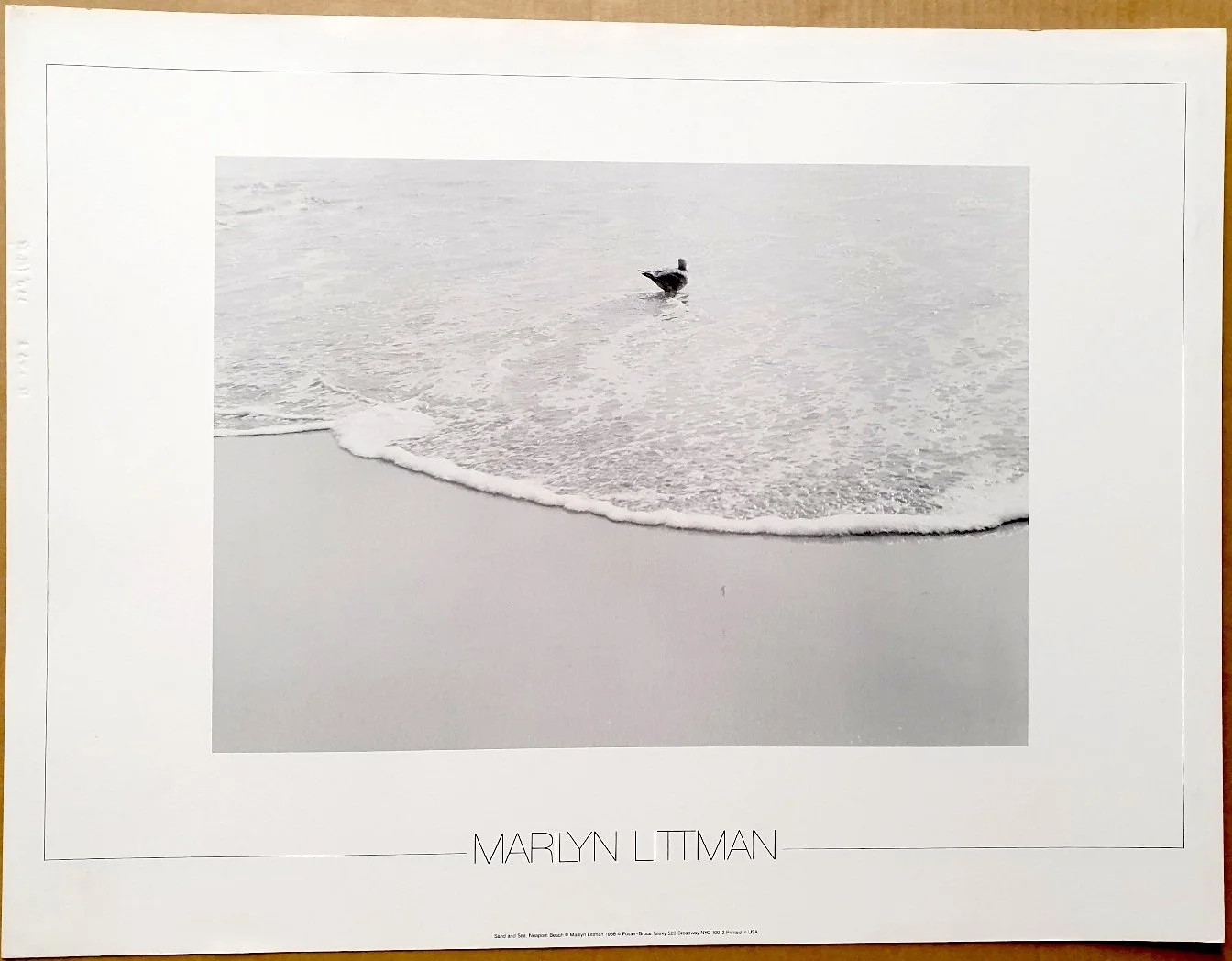 MARILYN-LITTMAN-SAND AND SEA -1.jpg