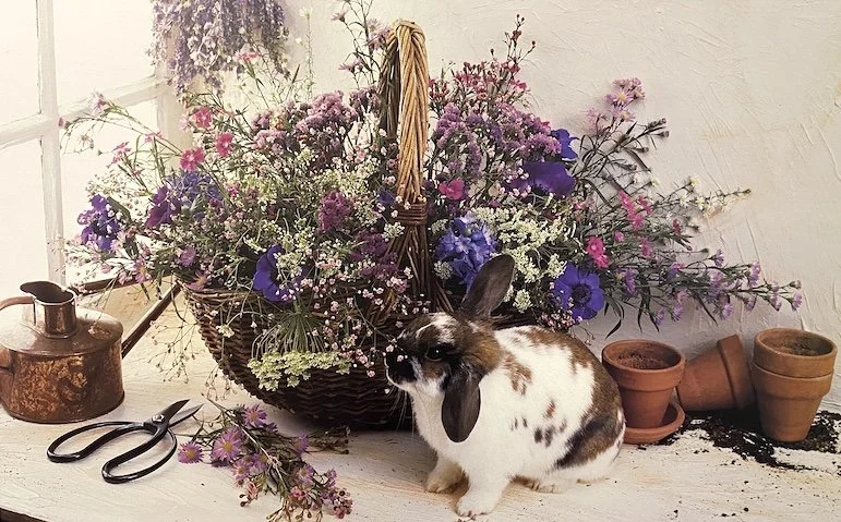 GARY GAY: RABBIT W DRIED BOUQUET