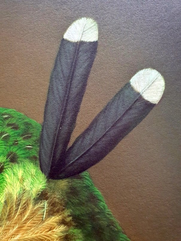 RW-TE-KETE-ARONUI-C3.jpg