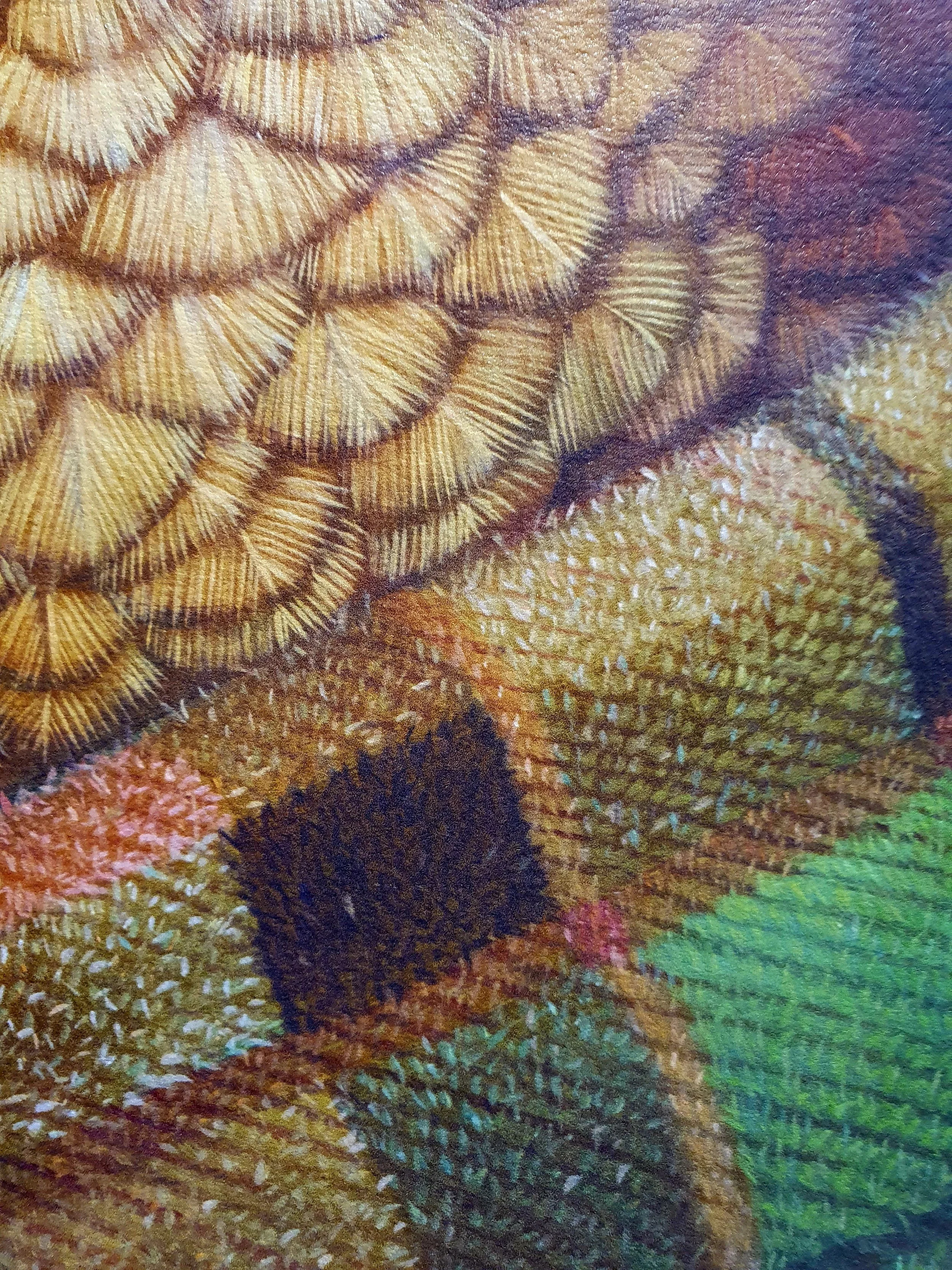 RW-KOWHAI-NGUTU-KAKA-C3.jpg