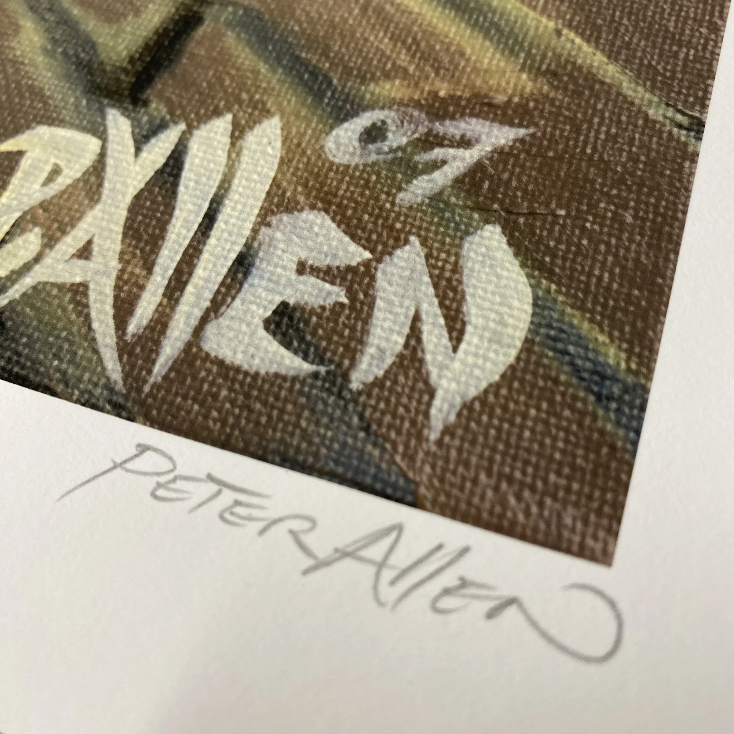 Peter-Allen- Tunnel-Vision-1.jpg