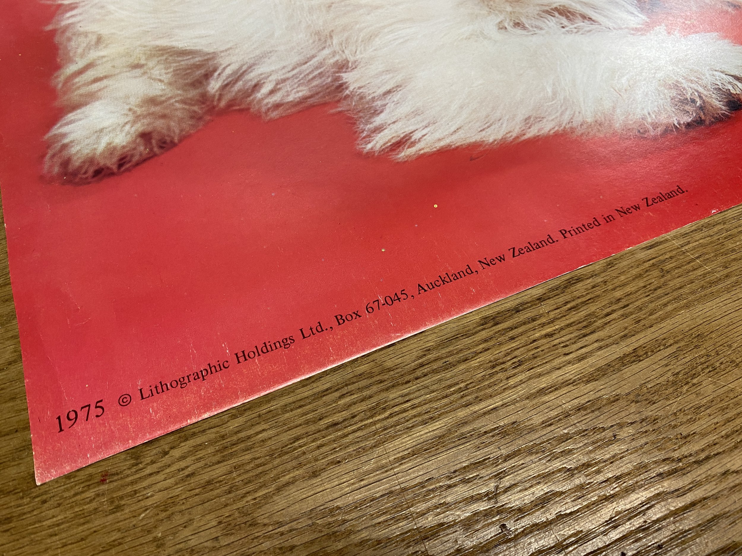 Three Terriers 885x560-2.jpg