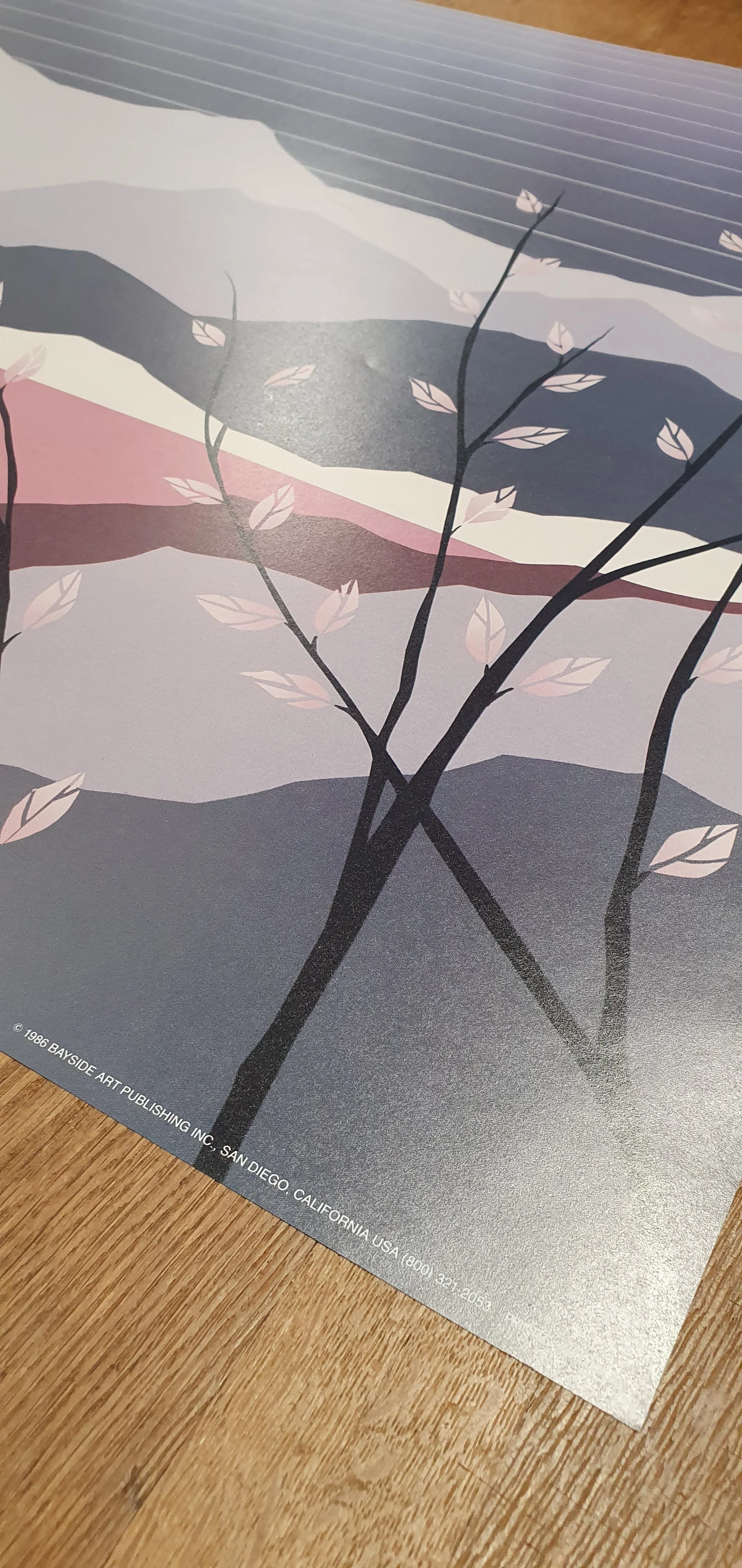 AFTER GLOW Bayside Art Pub  710x560 3.jpg