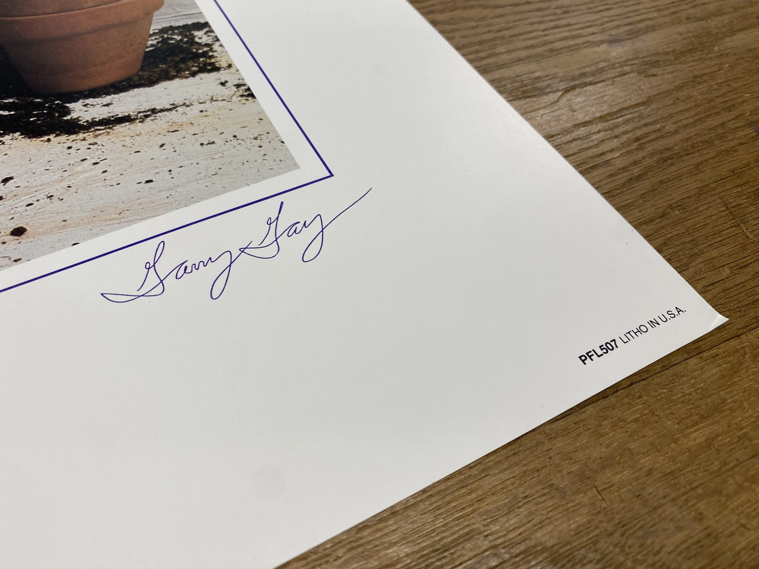 Garry Gay 710x510-3.jpg