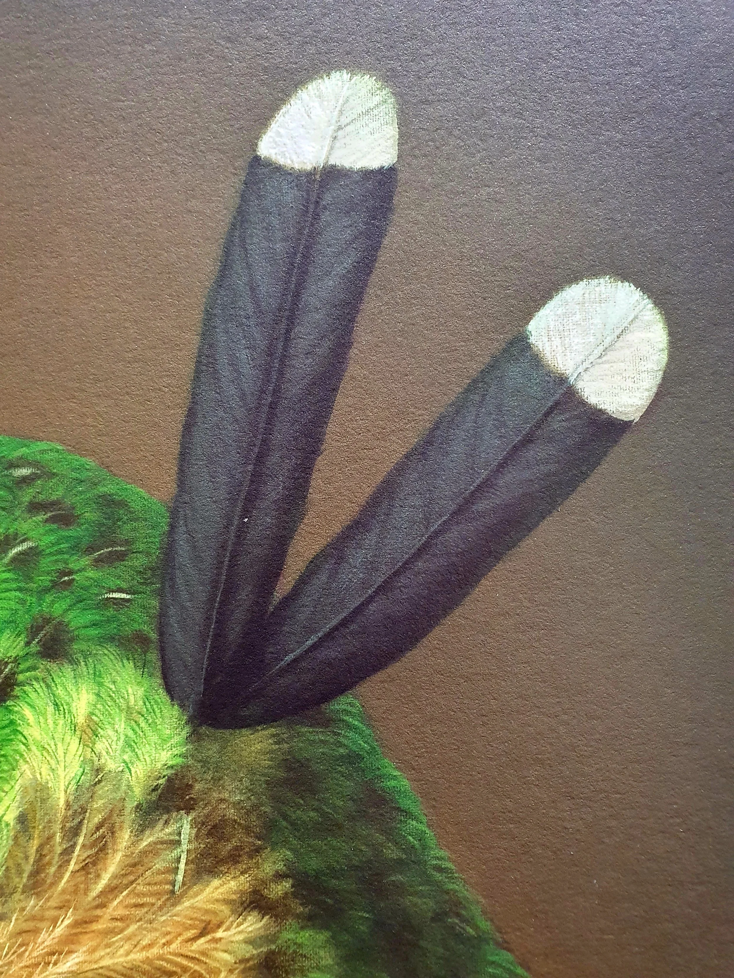 RW-TE-KETE-ARONUI-C3.jpg
