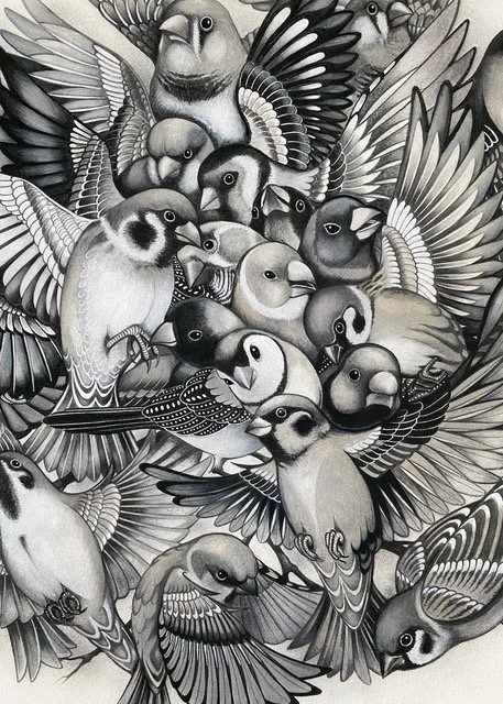 bird8.jpeg