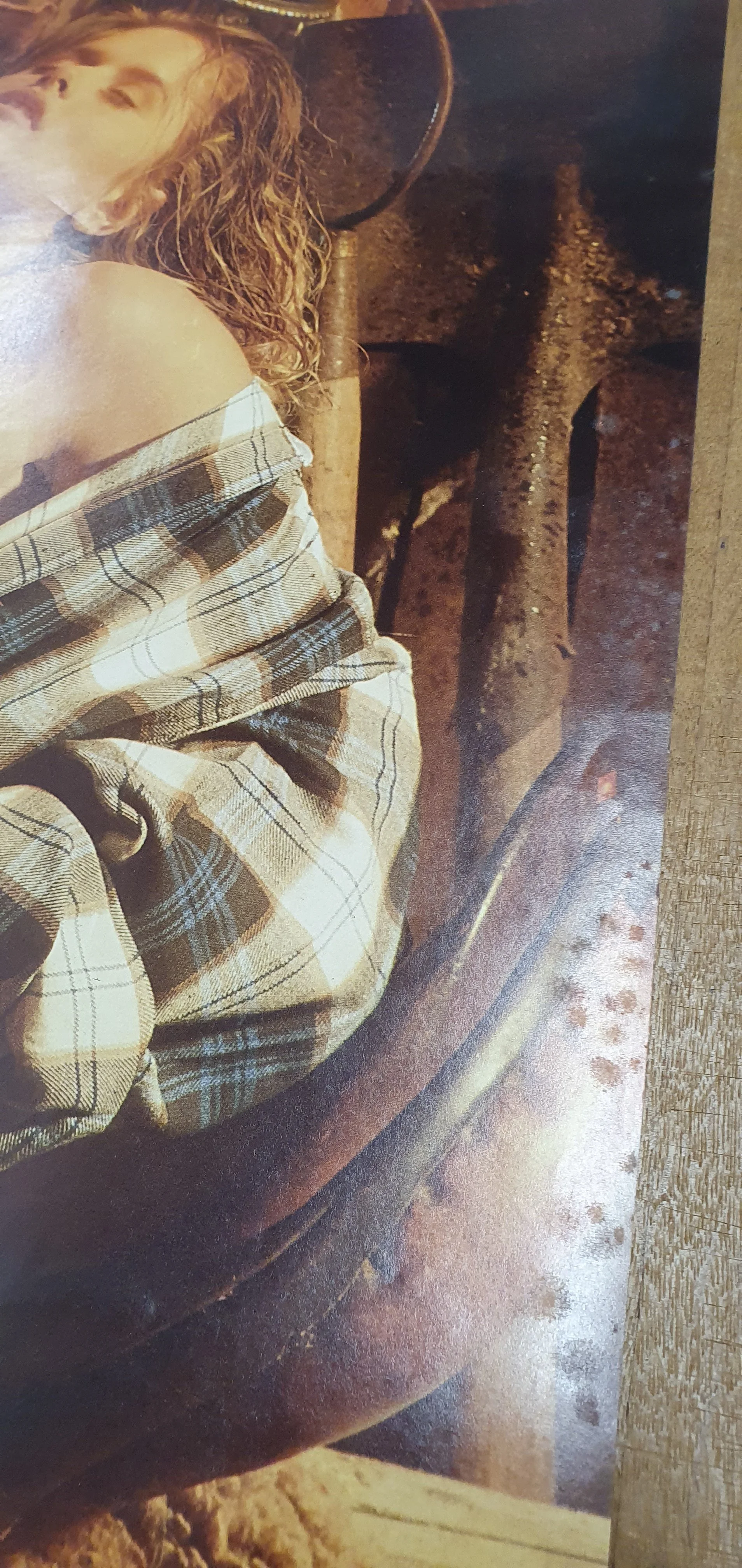 BARN SHAG Louissimo 620x930 3.jpg