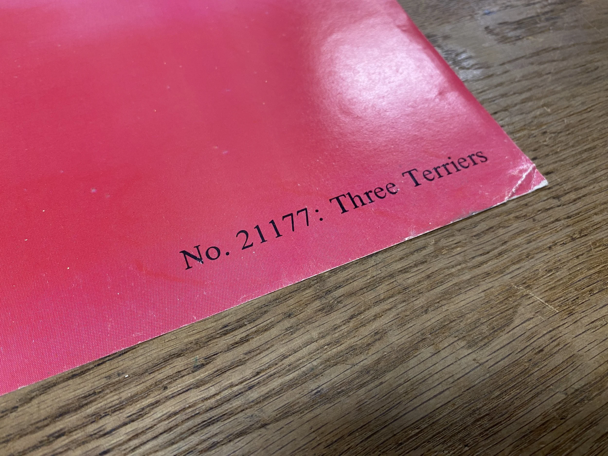 Three Terriers 885x560-3.jpg