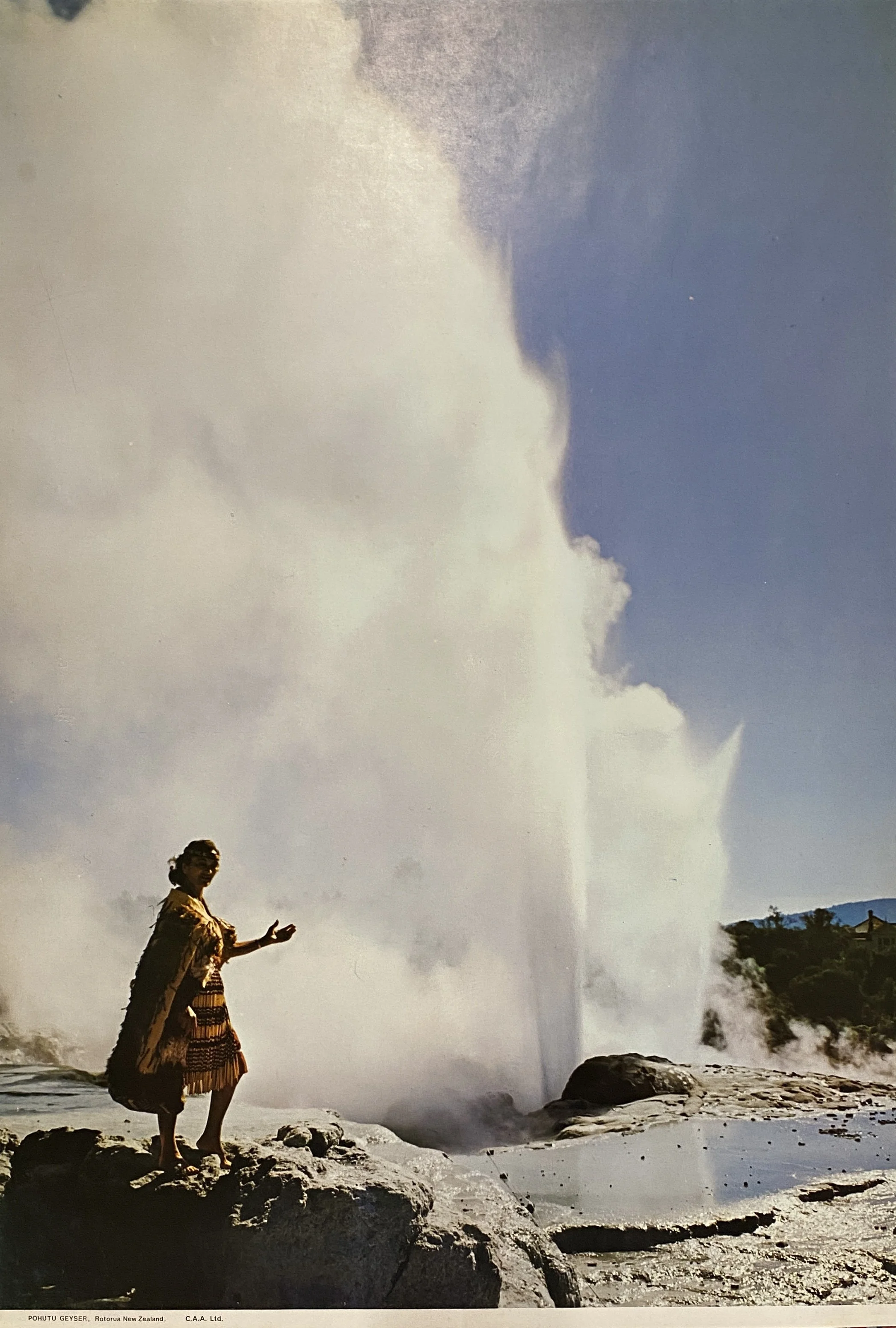 Pohutu Geyser 495x710-1.jpg