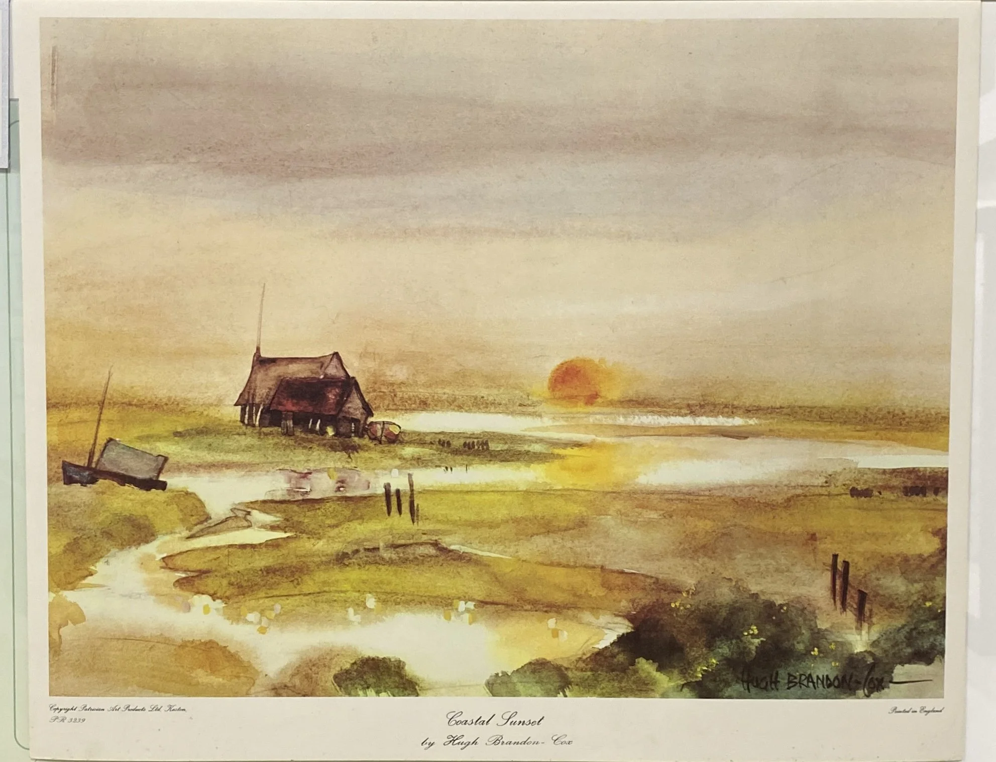 Hugh Brandon~Cox-Coastal Sunset -1.jpg