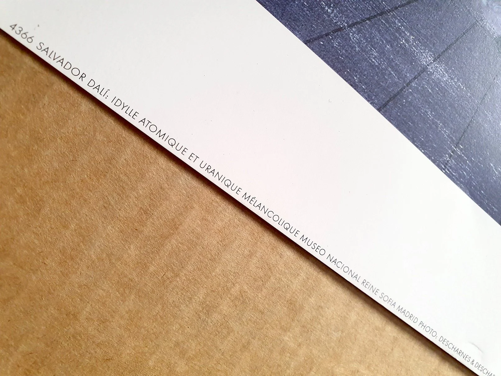 POS0056-5.jpg