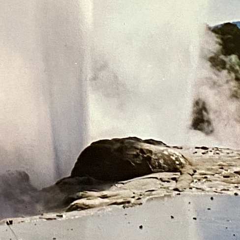 NZ_Pohutu Geyser 495x710-3.png