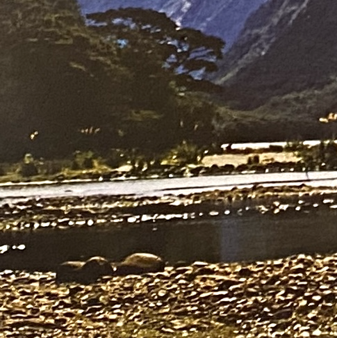 NZ_Mitre Peak 710x495-4.png