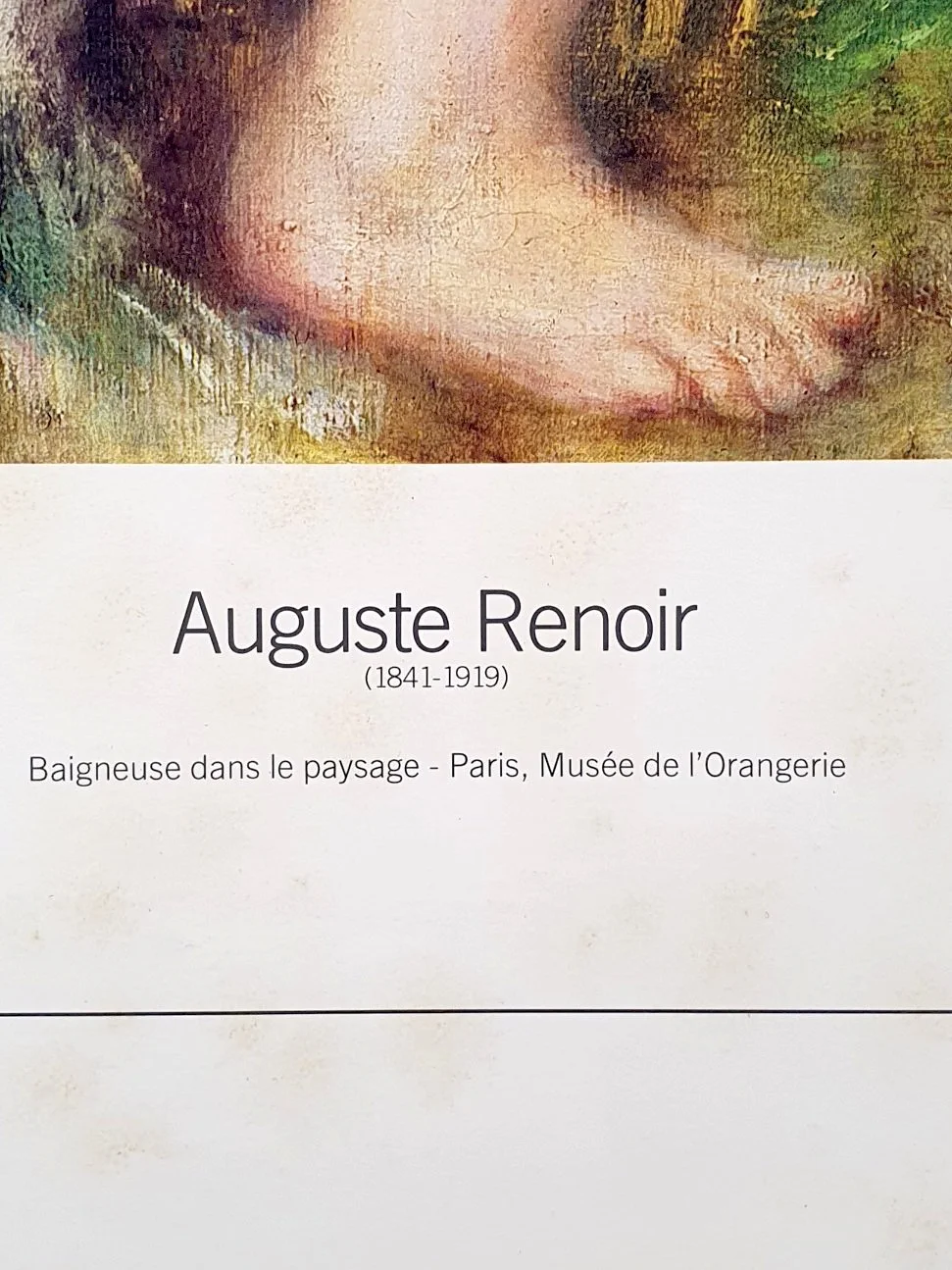 RENOIR-BAIGNEUSE-2.jpg