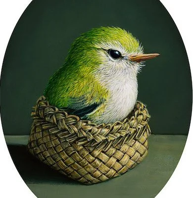 RIEKO: TITITIPOUNAMU