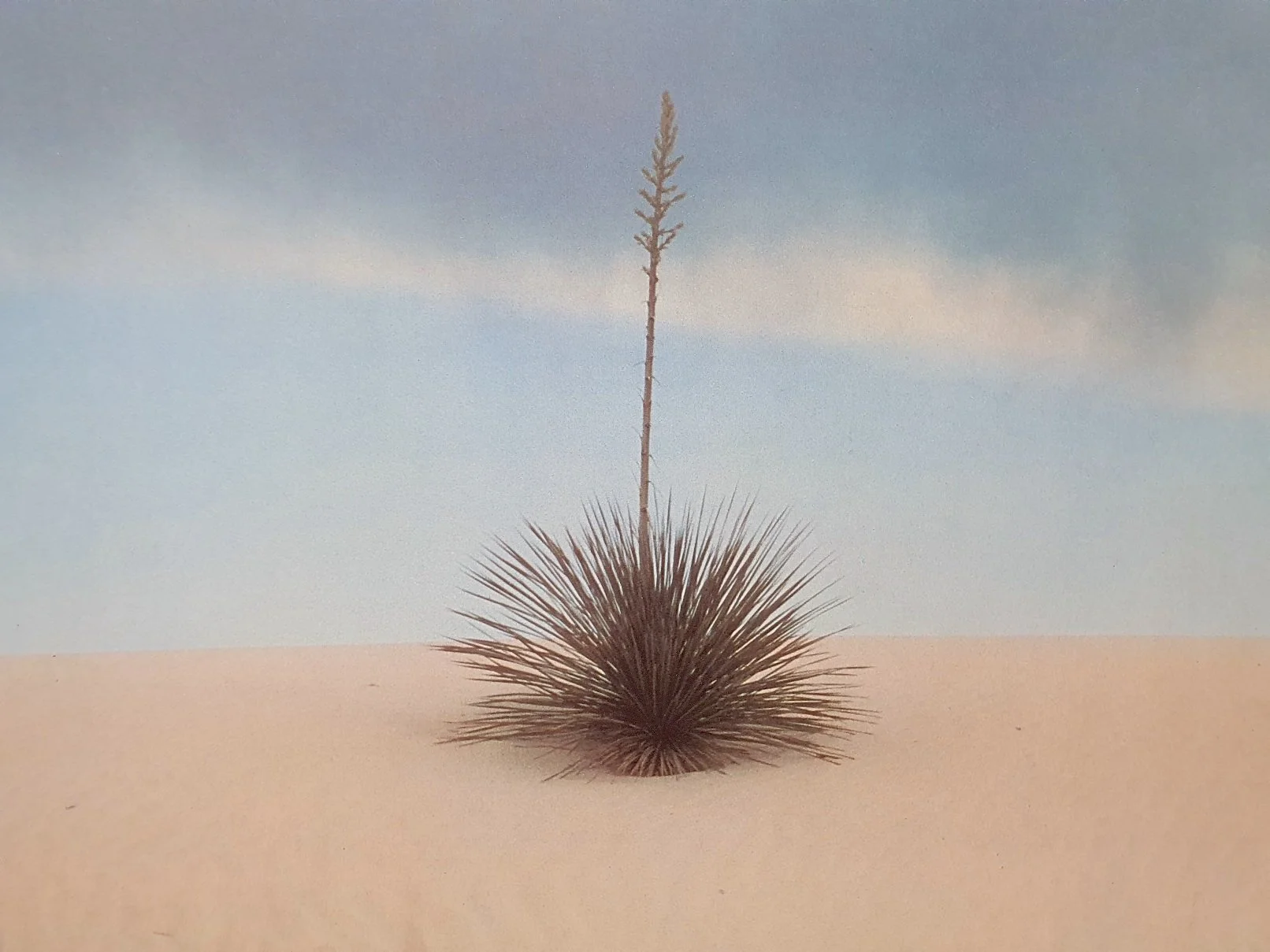 FRANCO FONTANA: WHITE SANDS