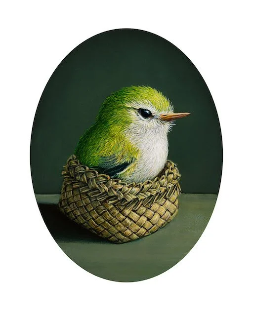 RW-TITITIPOUNAMU-D2.jpg