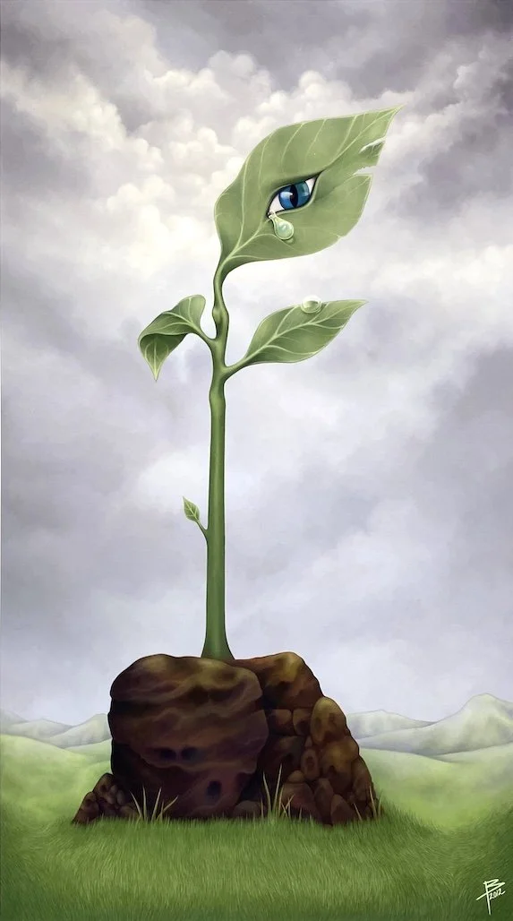 GARRY BUCKLEY: THE PROVIDENCE OF NATURE