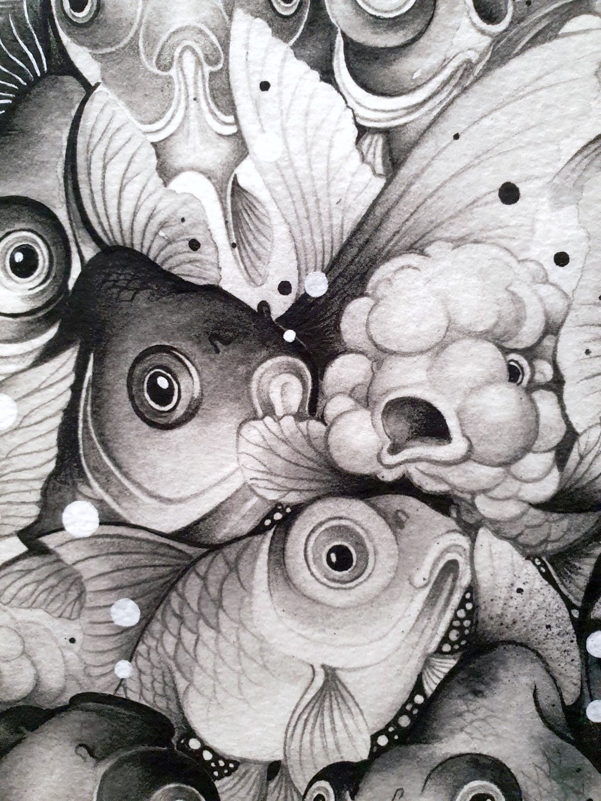 PP0012-5.jpg