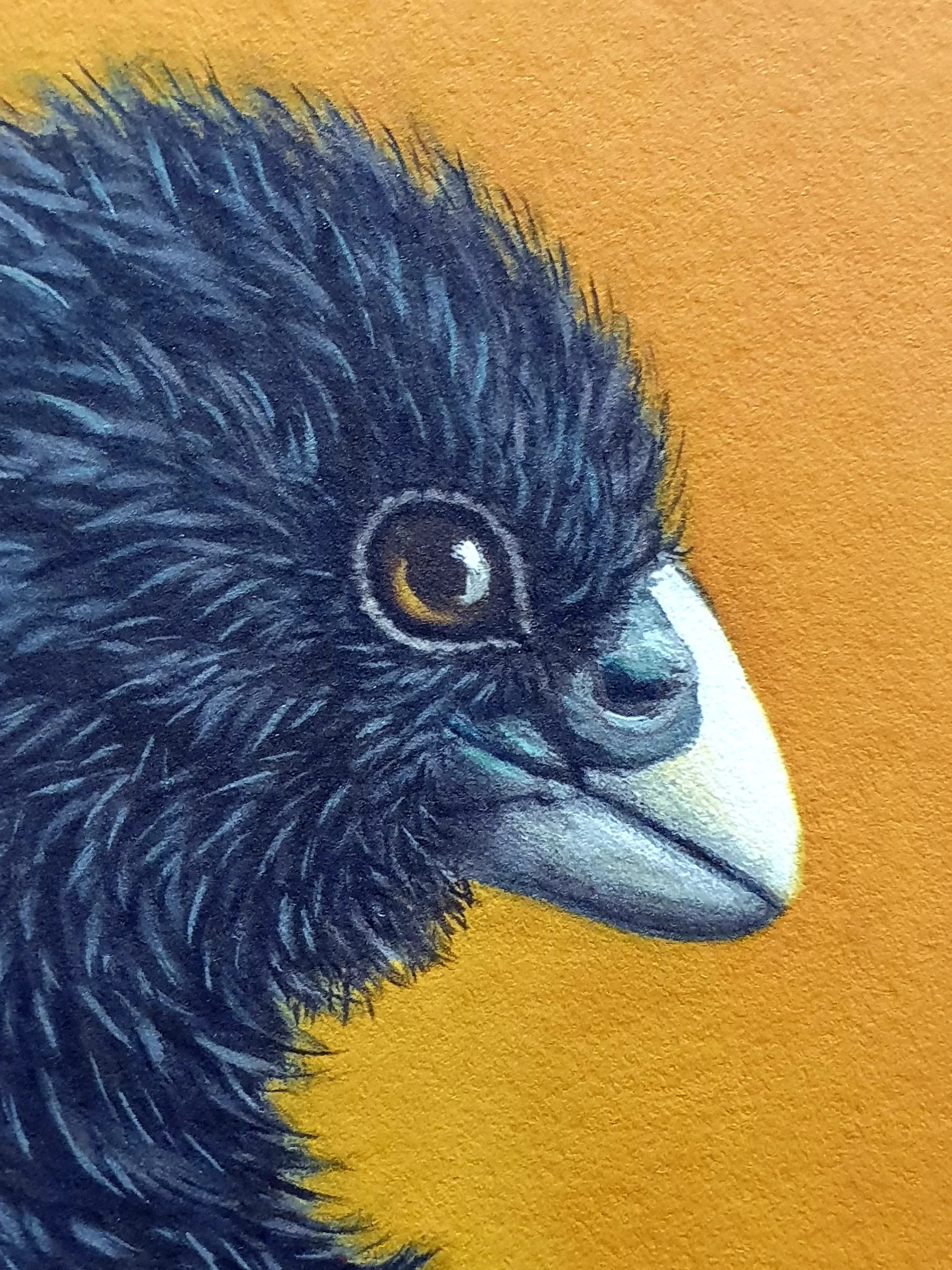 RW-KETE-TAKAHE-C1.jpg