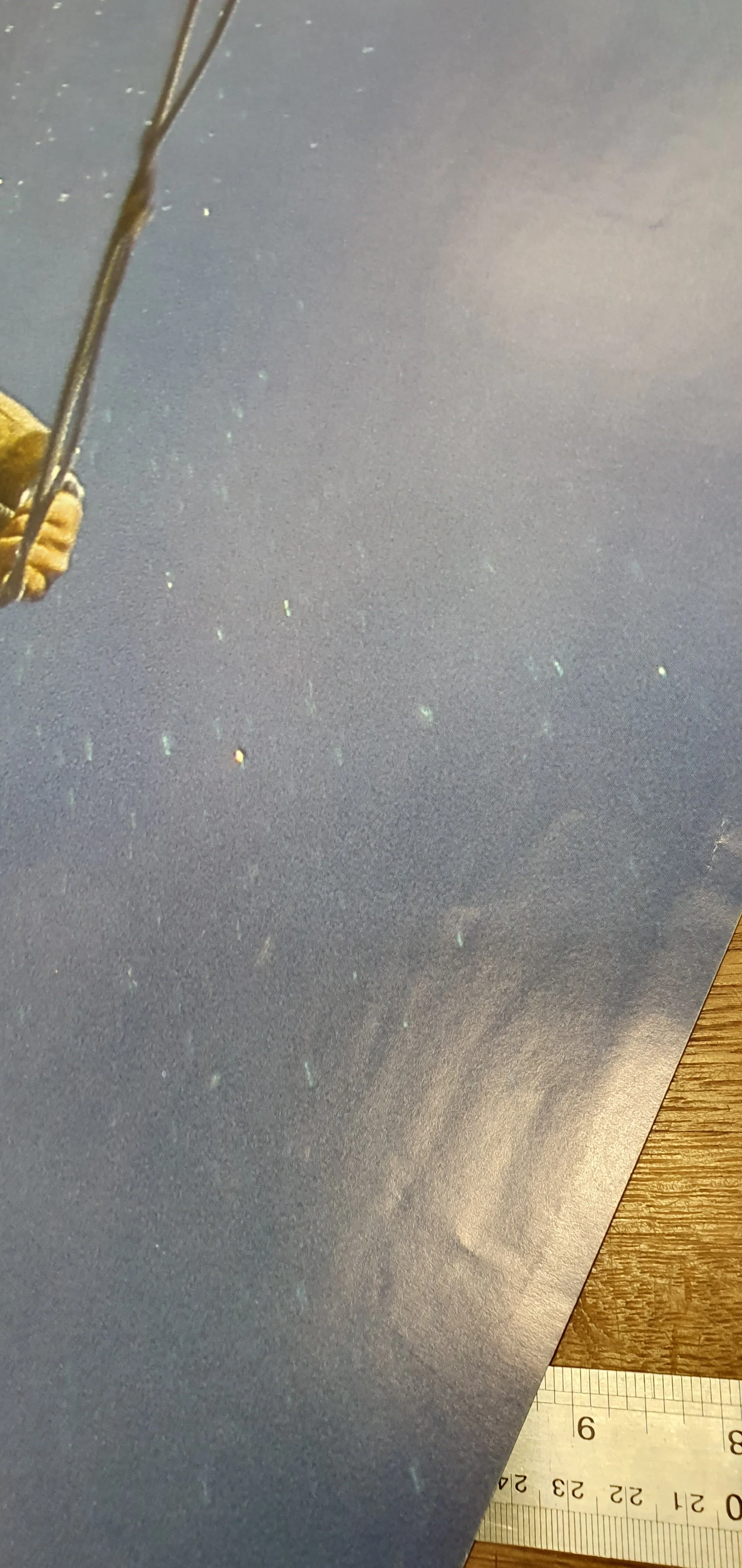 COWBOY Lol Ink 620x930 5.jpg