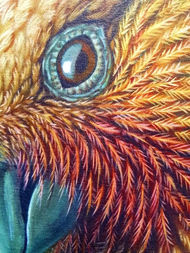 RW-KOWHAI-NGUTU-KAKA-C1.jpg