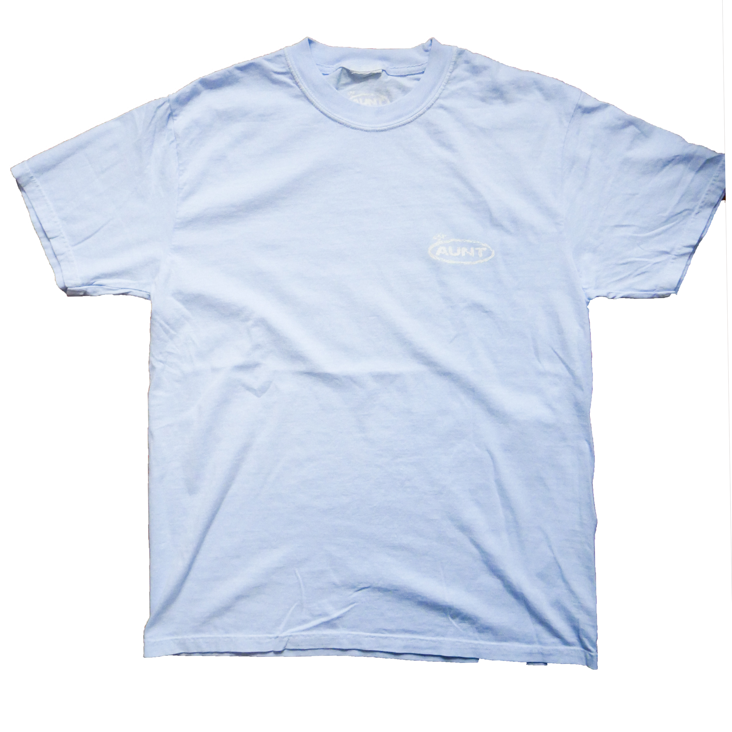 Spring Logo Tee Blue Front.png