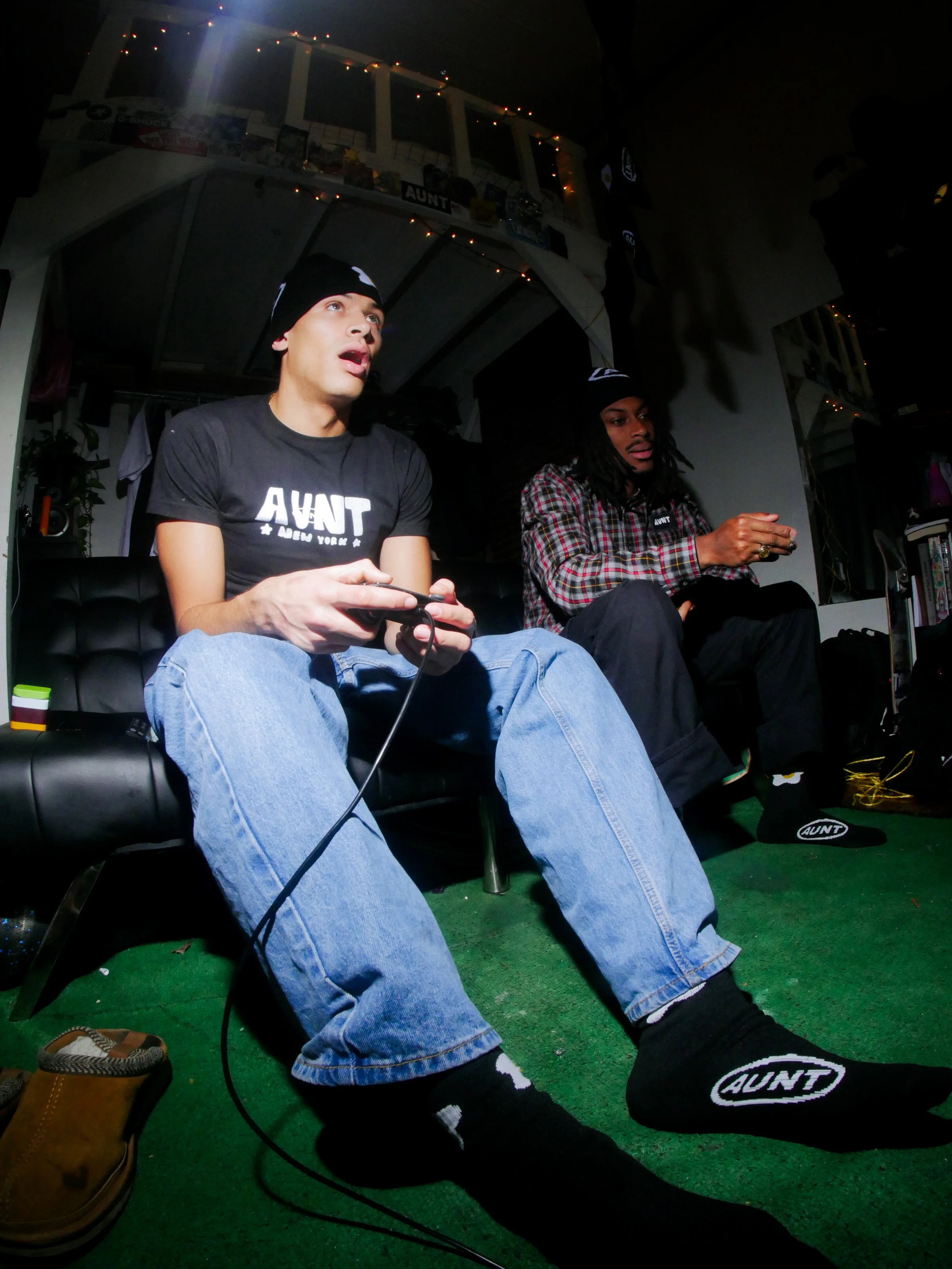 Aunt New York Skate Videos Link