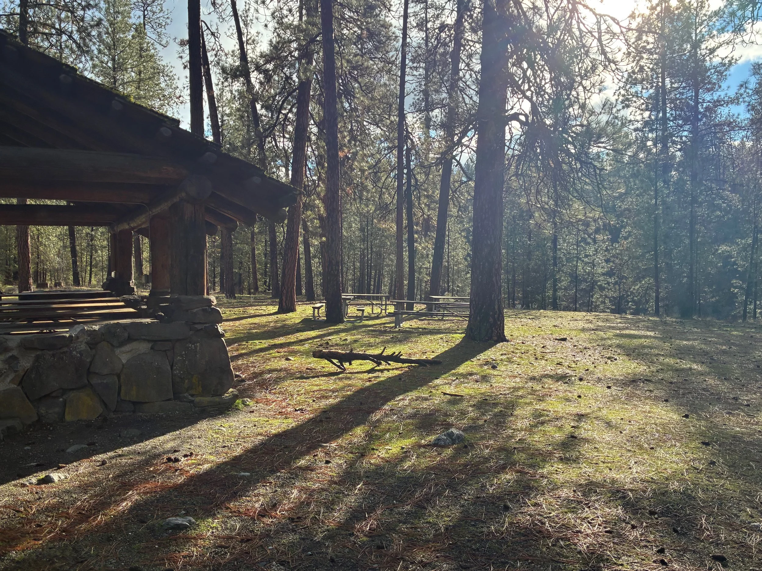 Sunlight streaming through trees in a forest clearing, with a wooden shelter on the left and picnic tables in the background.