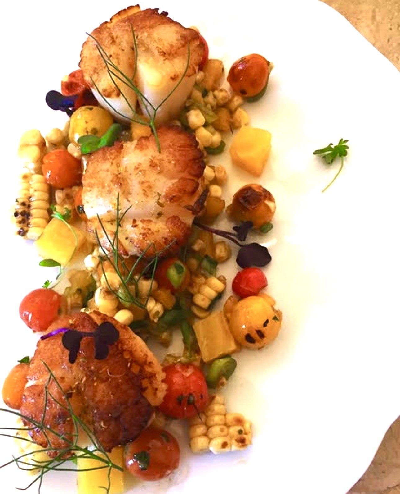 A gourmet dish with seared scallops, grilled cherry tomatoes, corn, and herbs arranged artfully on a white plate.