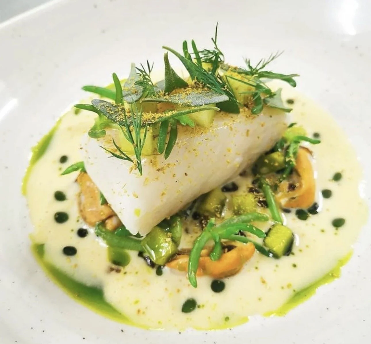 A plated gourmet dish featuring a rolled white fish fillet on a bed of vegetables and sauce, garnished with fresh herbs and black drops of sauce.
