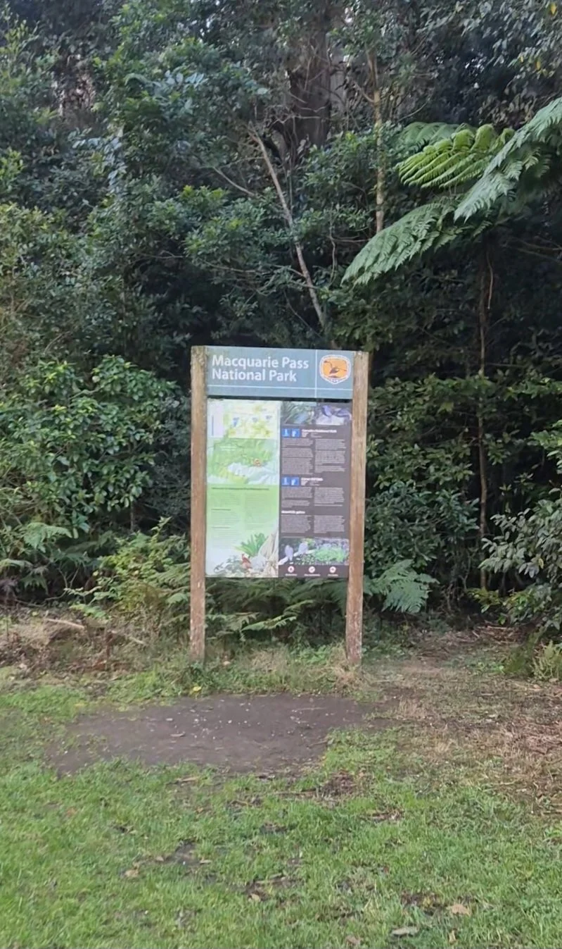 A sign at the entrance to a rainforest walking track with the words 'Macquarie Pass National Park'.