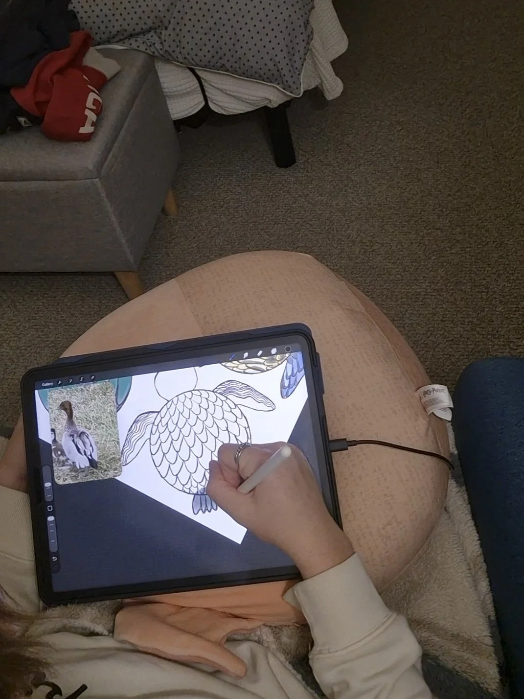 An over the shoulder photo of the artist drawing on an iPad.  The image is a turtle with a pattern on its shell that matches the back feathers of an Australian Wood Duck. There is a small reference image of an Australian Wood Duck in the image.